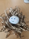 Pet Stone © : l'original 