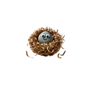 Pet Stone © : l'original 