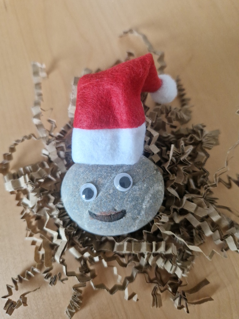 Pet Stone © : Edition Noël 